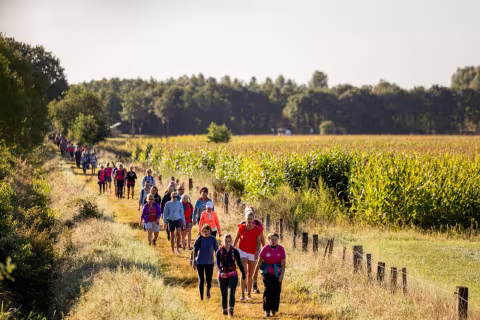 Sfeerbeeld Pink Ribbon Soester Wandelweekend