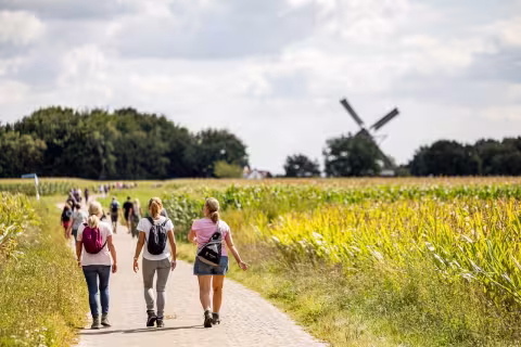 Sfeerbeeld Pink Ribbon Soester Wandelweekend